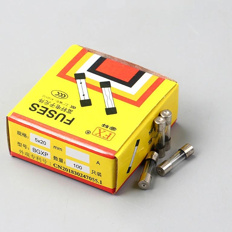 Complete set van 100 glaszekeringen 10A 5x20mm