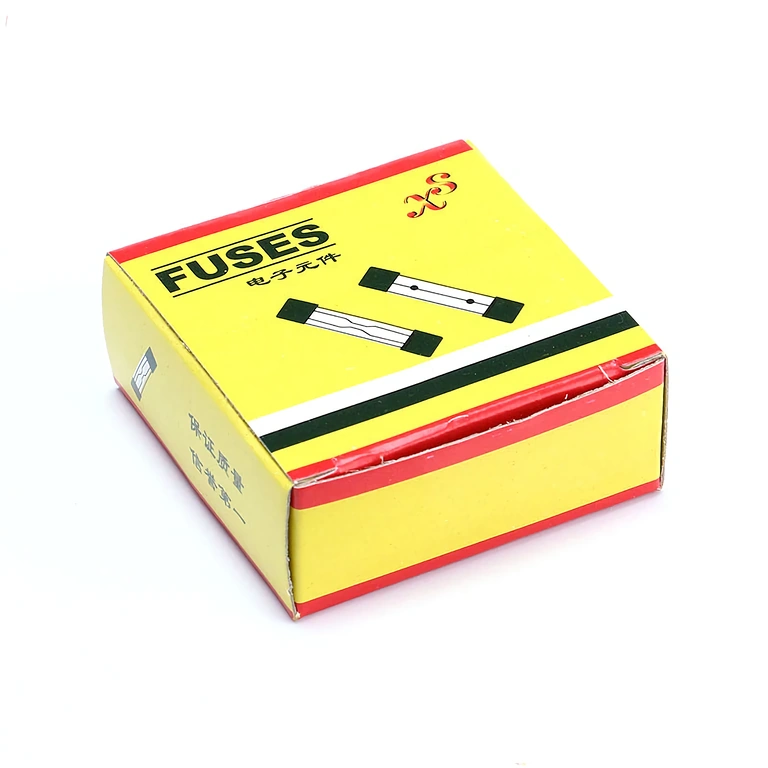 Verpakking set van 100 glaszekeringen 10A 5x20mm